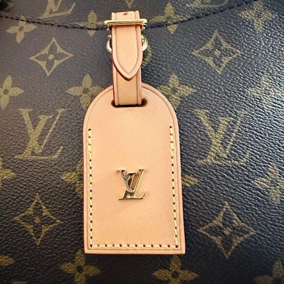 Louis Vuitton Odeon PM - Picture 7 of 16